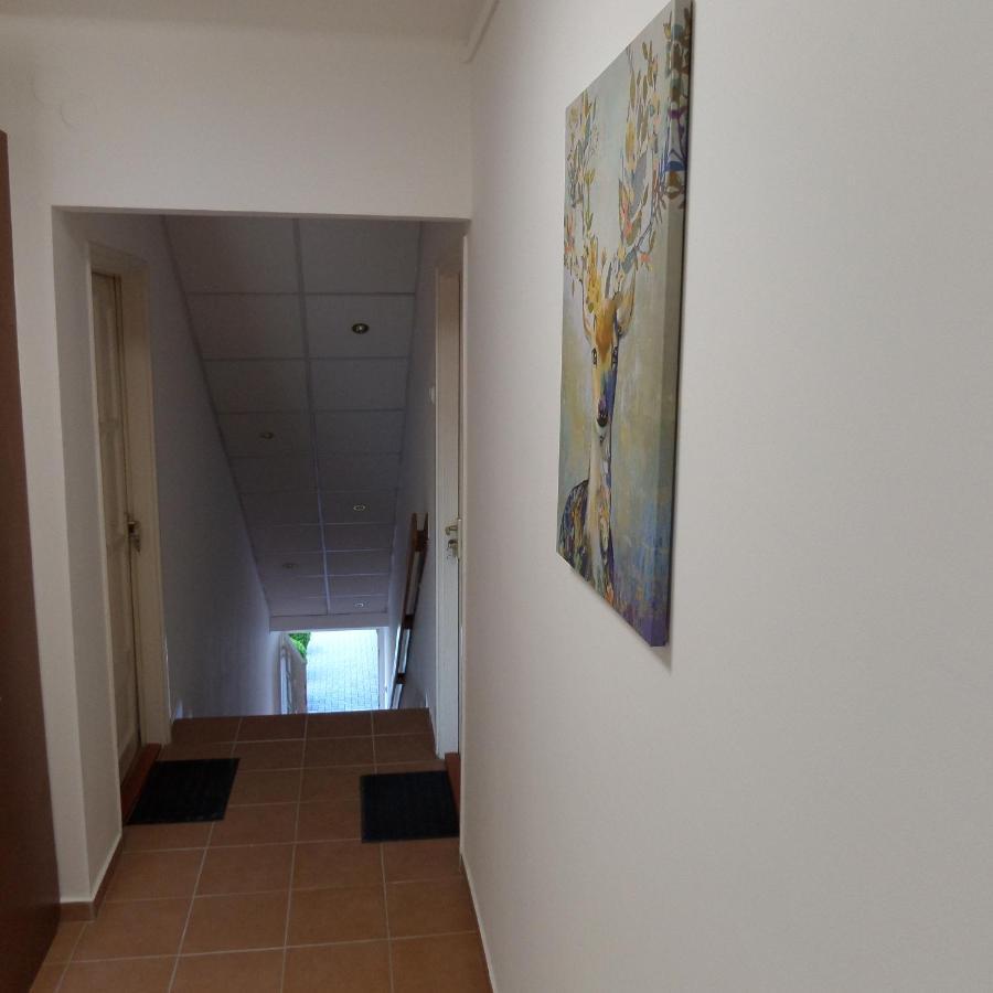Silent Apartmanhaz Harkany Bagian luar foto